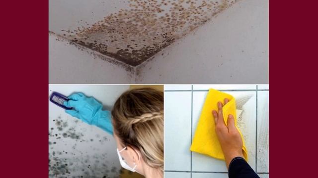 Создай Сам Себя