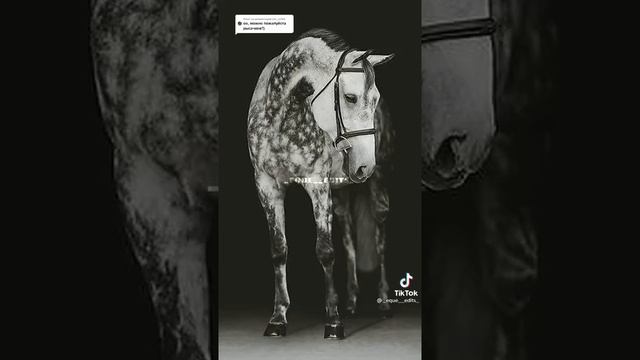 орловские рысаки) #породы #лошади смотреть онлайн