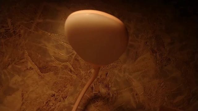 Светодиодная настольная лампа с USB портом . смотреть онлайн