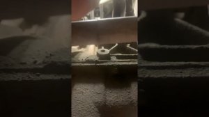 Замена датчика температуры на Нексия 1,6