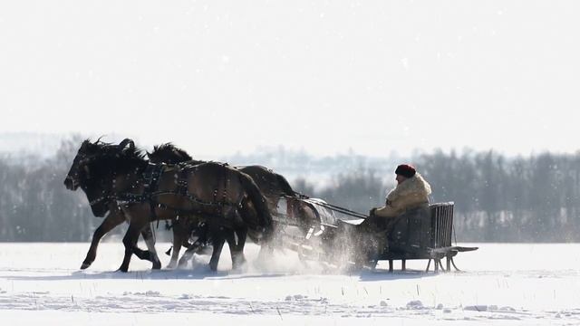 Андрей Дерзкий - Дары Зимы (песни под гитару) смотреть онлайн