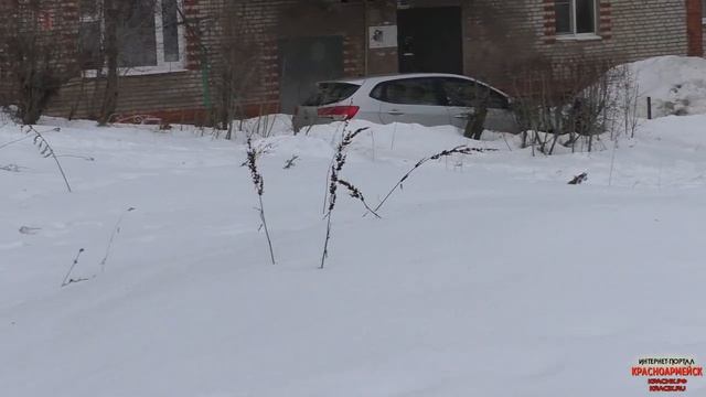 По кругу смотреть онлайн