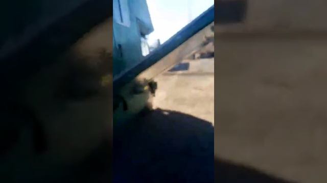 Коневозка сатылат (тел: +7 906 741 11 02) смотреть онлайн