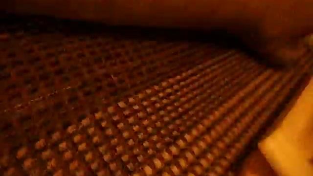 Leopard Gecko crawl смотреть онлайн