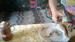 Еще одна сычужная закваска для приготовления сыра. Lamb Stomach Cheese Enzyme