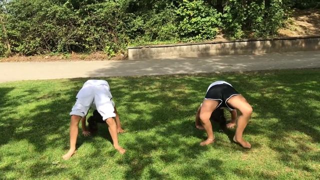Tutorial Aú Reversão - Online Capoeira Kids - Ideal Capoeira смотреть онлайн