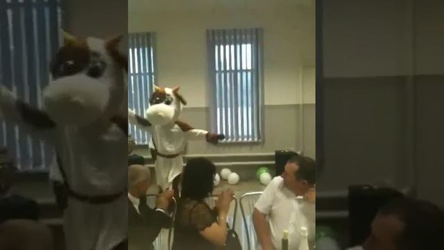 Индийская корова смотреть онлайн