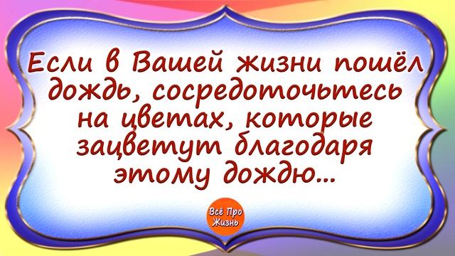 Лучшие Цитаты и Афоризмы Мира для Души! Канал Всё Про Жизнь! смотреть онлайн