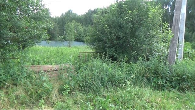 По кофейку. Прогулка со Светой по СНТ. А в понедельник был ураган!!! смотреть онлайн