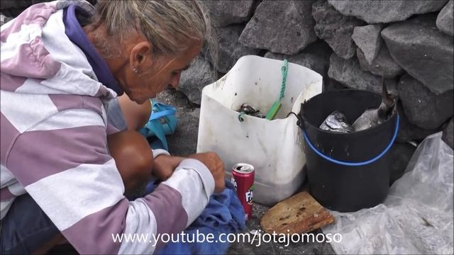 Fishing White seabream / Pesca ao Sargo nos Açores / Pesca de plata dorada #3 الدنيس الأبيض смотреть онлайн