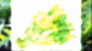 КАК ВЫРАСТИТЬ РУККОЛУ ДОМА НА ПОДОКОННИКЕ ИЗ СЕМЯН