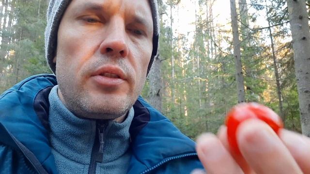 Почему помидор - это ягода, а груша - яблоко? смотреть онлайн