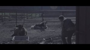 Техник: В поисках легких денег #7 Работник зоопарка