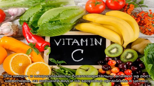 Продукты для роста волос, какие овощи и фрукты лучше помогут вашим волосам смотреть онлайн