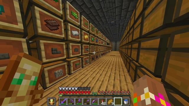 J'ai Vaincu Tous les Boss de Minecraft en Hardcore смотреть онлайн
