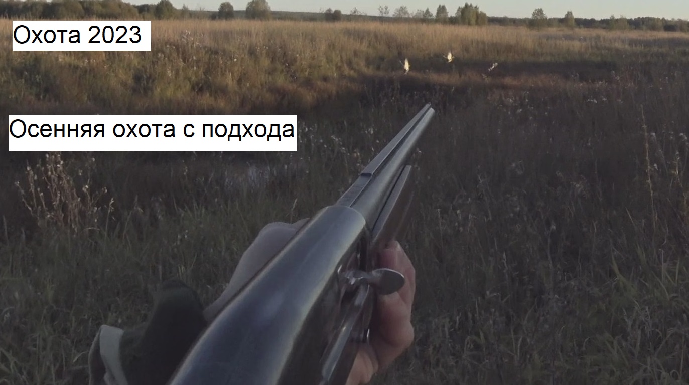 Осенняя охота на утку с подхода 2023 смотреть онлайн