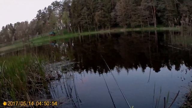 утро в Салтановке смотреть онлайн