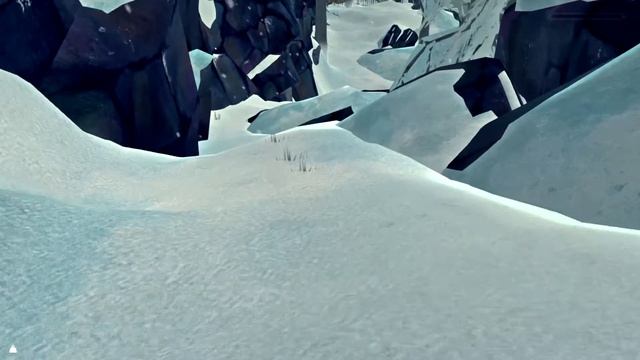 Грибы и природные загадки