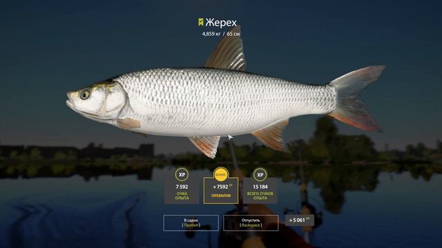 рр4 фарм серебра на Волхове Русская рыбалка 4 RF4 Russian fishing 4 смотреть онлайн