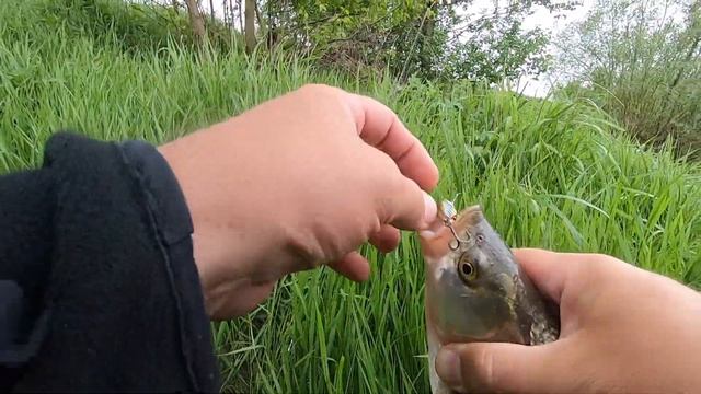 Рыбалка в паводок на большой реке смотреть онлайн