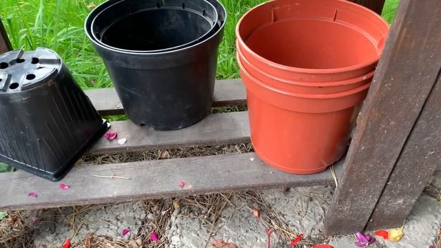 Готовим с Любовью