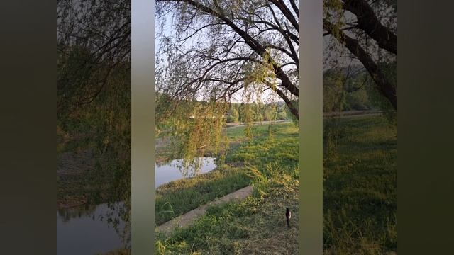 마태복음 15 성경통독 смотреть онлайн