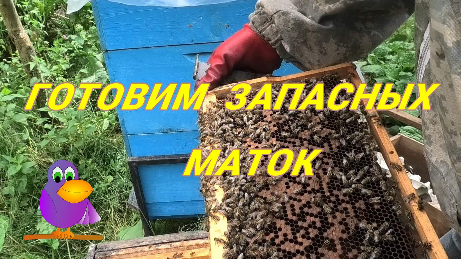 КОНТРОЛЬ НУКЛЕУСОВ смотреть онлайн