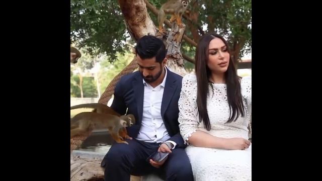 dr_kholodiii & amen_90 spending time with animals in fame park #dubai смотреть онлайн