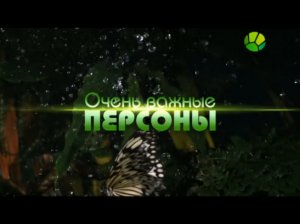 Очень важные персоны