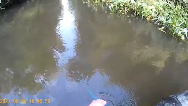 рыбалка на рыболовные экраны после дождя в мутной воде смотреть онлайн