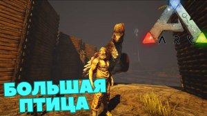 The Island ПРОХОЖДЕНИЕ ARK SURVIVAL - Орёл #3