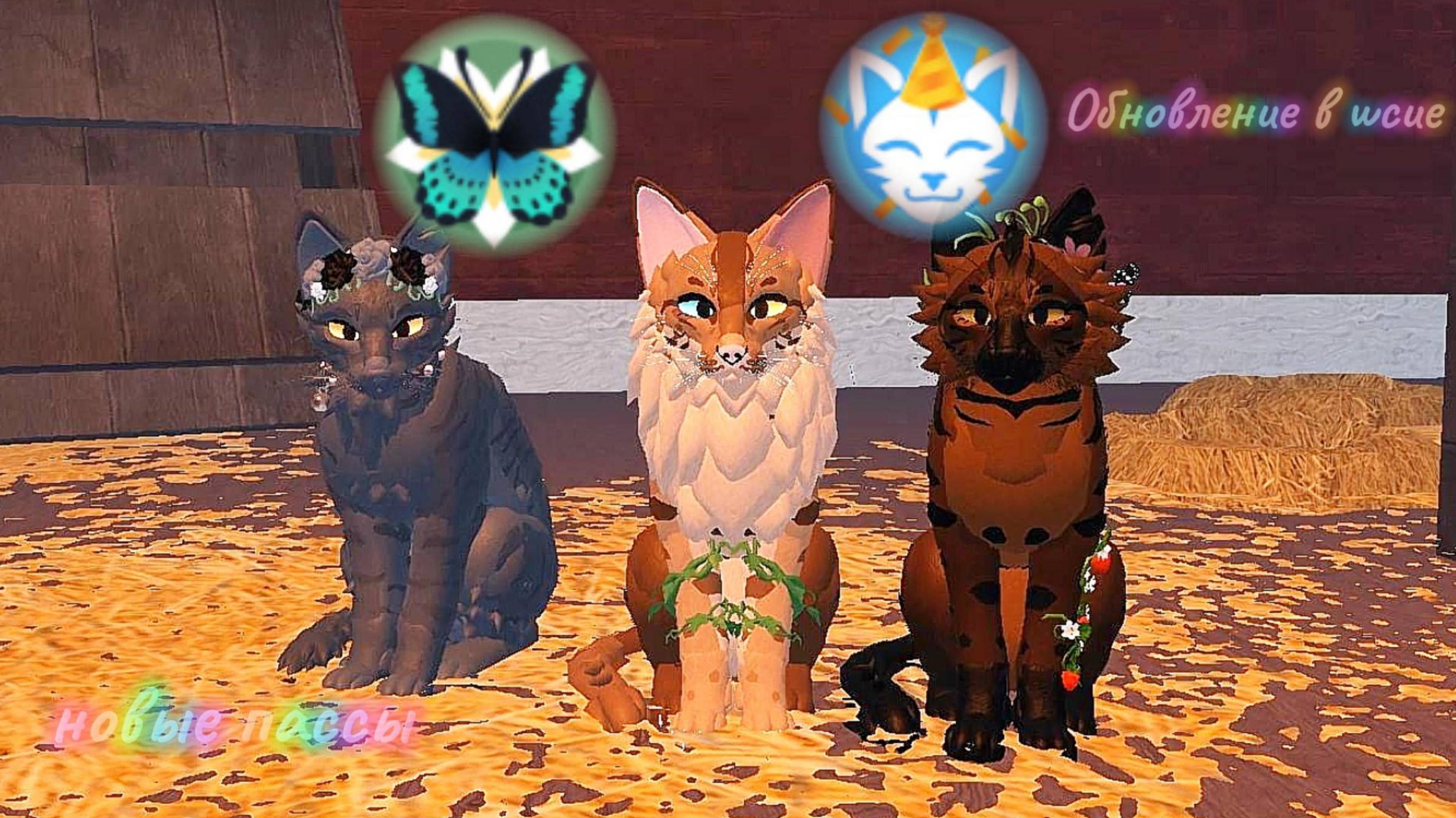 _Iwcue_обновление и новые пассыI~