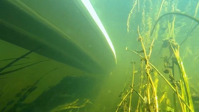 Поход на байдарках по реке Ворскла. Музыка от Yosi Horikawa смотреть онлайн