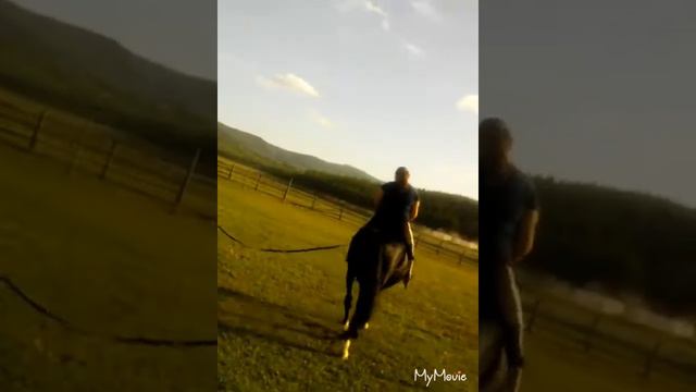 Ирина и Резвая. Рысь и Шаг. смотреть онлайн