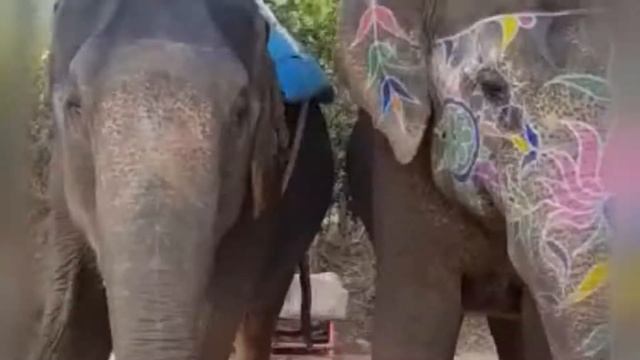 От Тадж-Махала до Гоа. Индия, 2018 смотреть онлайн