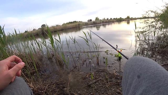 Утренний КАРАСИК во время НЕРЕСТА!! ВДВОЕМ на БЕРЕГУ, КАМЫШ ХОДИТ ХОДУНОМ, ПОПЛАВОК КРУПНЫМ ПЛАНОМ! смотреть онлайн