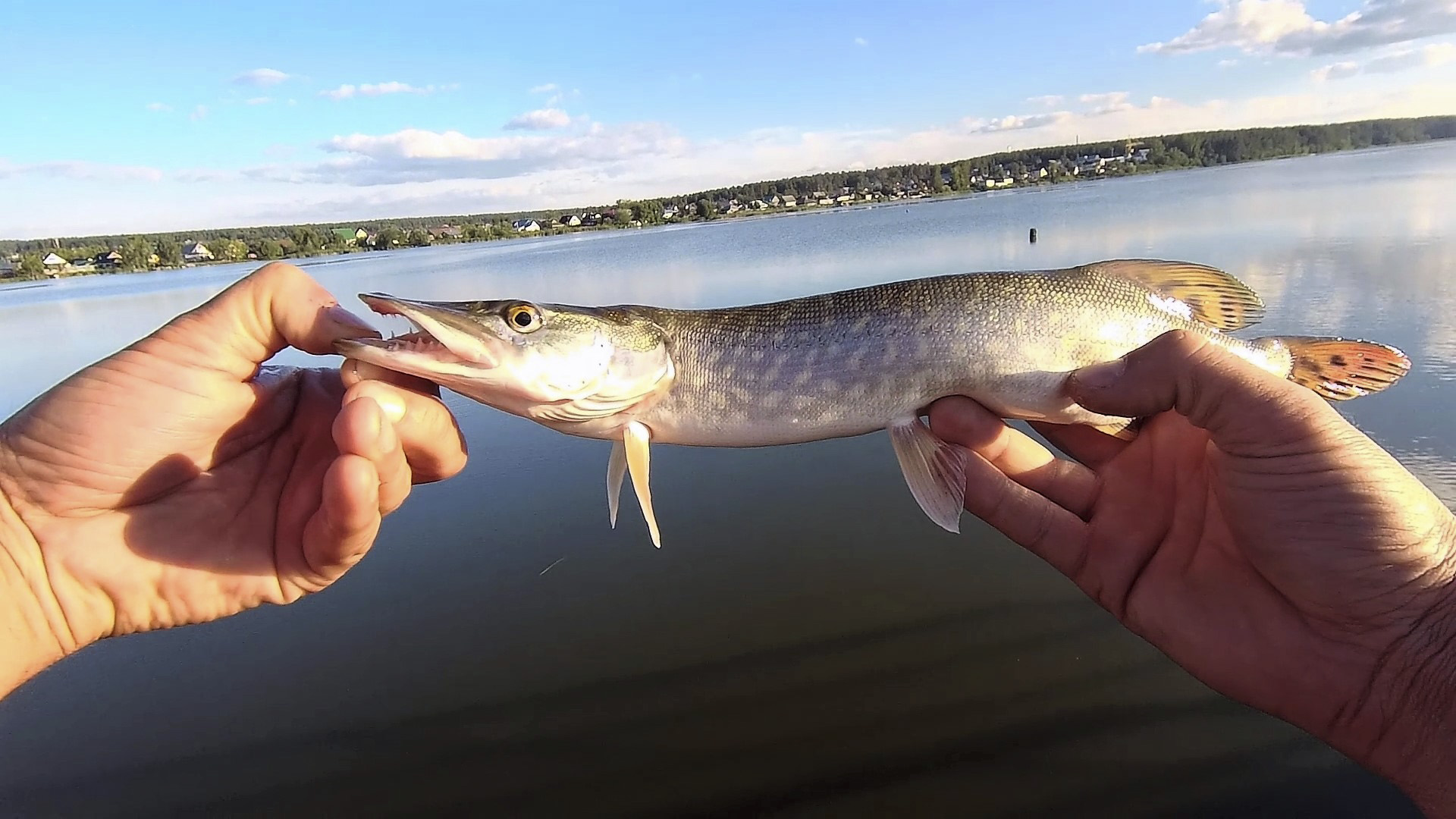 РЫБАЛКА ВЕЧЕРОМ АВГУСТА сломал спиннинг, щука и окунь на тейл-спиннер смотреть онлайн