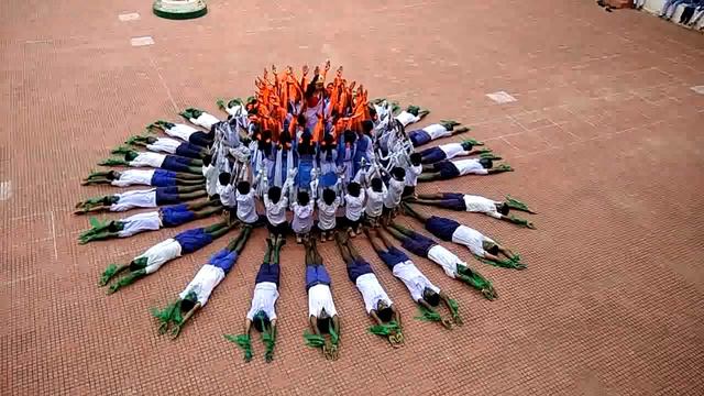 Lotus formation On the occasion of 71st indipendenc day смотреть онлайн