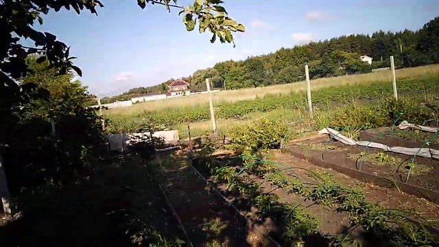 гумат-альтернатива навозу смотреть онлайн