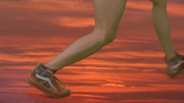 Vivienne Westwood Anglomania X VANS