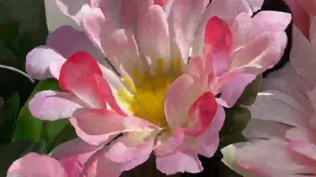 Video Story#79 Кафе в Стиле Прованс. #кафе #прованс #десерт смотреть онлайн