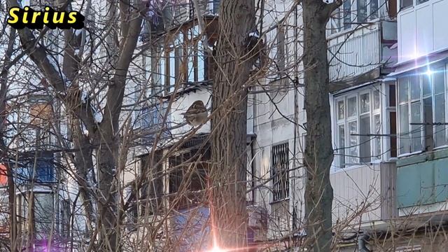 12 января день Анисьи: что категорически нельзя делать смотреть онлайн