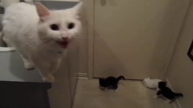 Testing смотреть онлайн