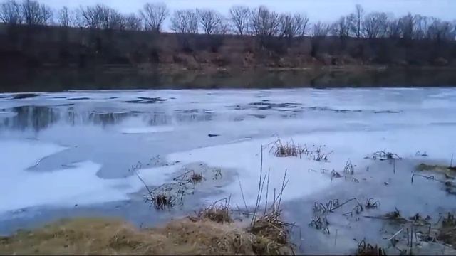 16 ноября 2023 г. смотреть онлайн