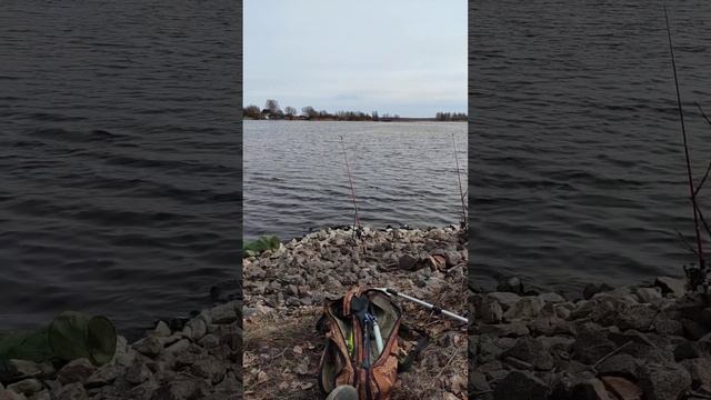 Рыбалка на донки ранней весной лучший отдых #рыбалка #природа #fishing #fish #озеро #ловля #фидер смотреть онлайн
