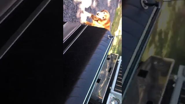 IMG 2493 OLDSMOBILE TEST DRIVE 1966 STARFIRE смотреть онлайн