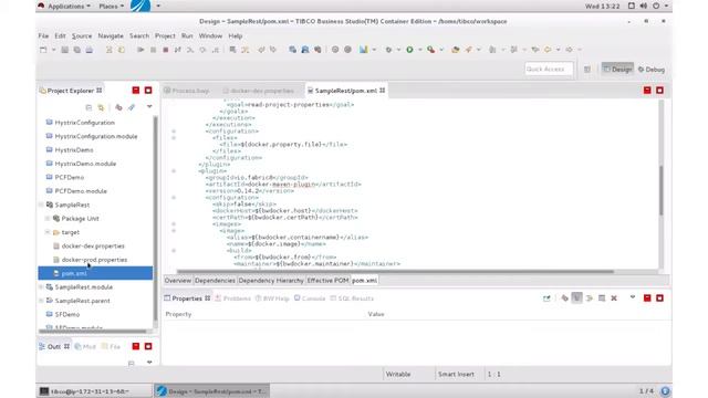 Deploying a Simple BusinessWorks™ Container Edition Service with Maven on to Docker смотреть онлайн