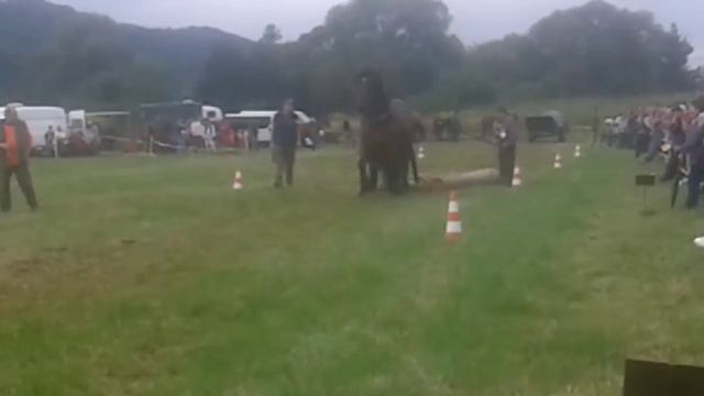 3. Furmanske preteky BREZOV 19.9.2o15 смотреть онлайн