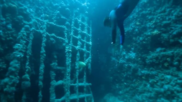 Never be Nery freediving in Vouliagmeni смотреть онлайн