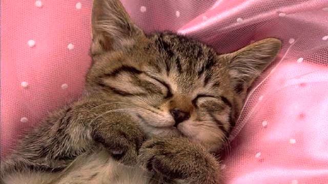 Моя любимая! Нереально серьезная музыка. Обожаю! смотреть онлайн